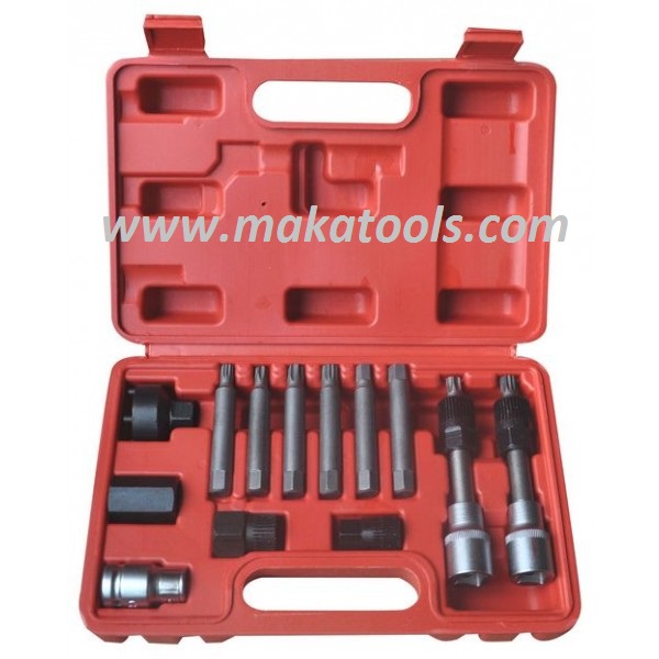 13PCS ALTERNATION FREEWHEEL REMOVAL KIT