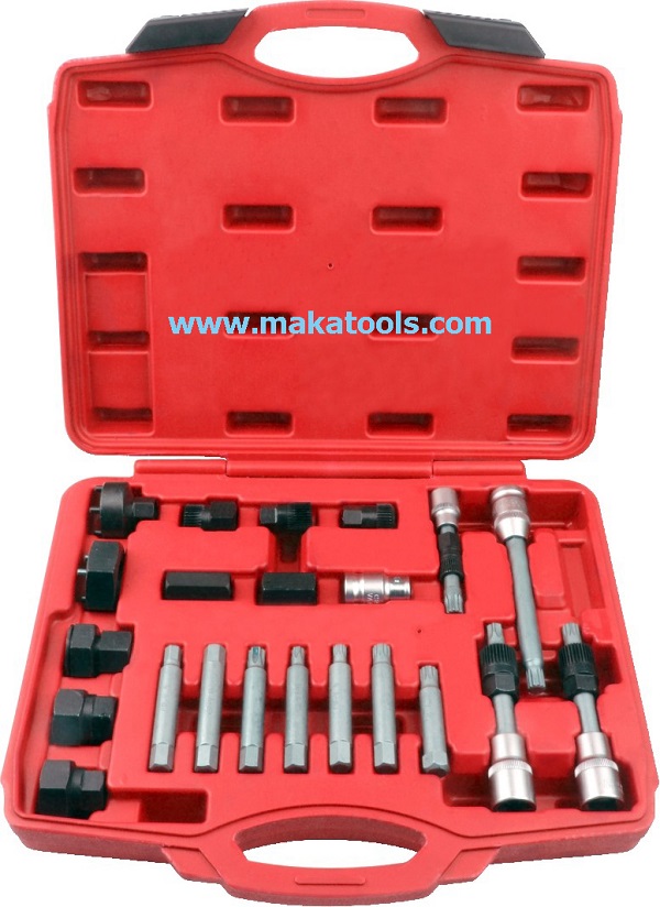 22 Piece Alternator Bit And Socket Set (MK0220)